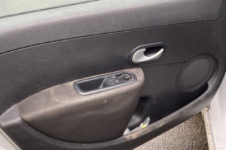 Porte arriere gauche RENAULT CLIO 3