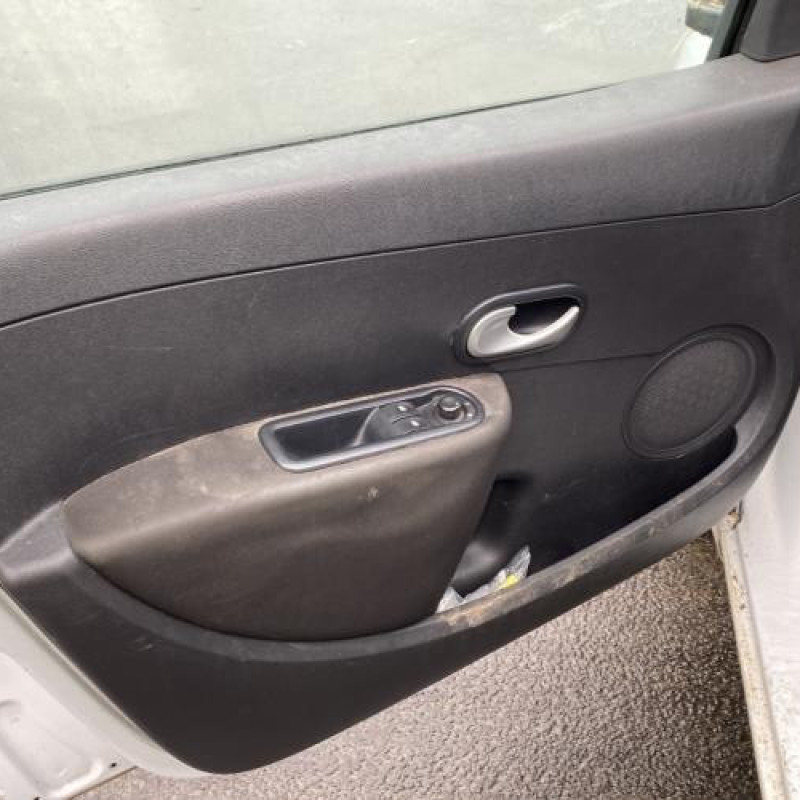 Porte arriere gauche RENAULT CLIO 3 Photo n°14