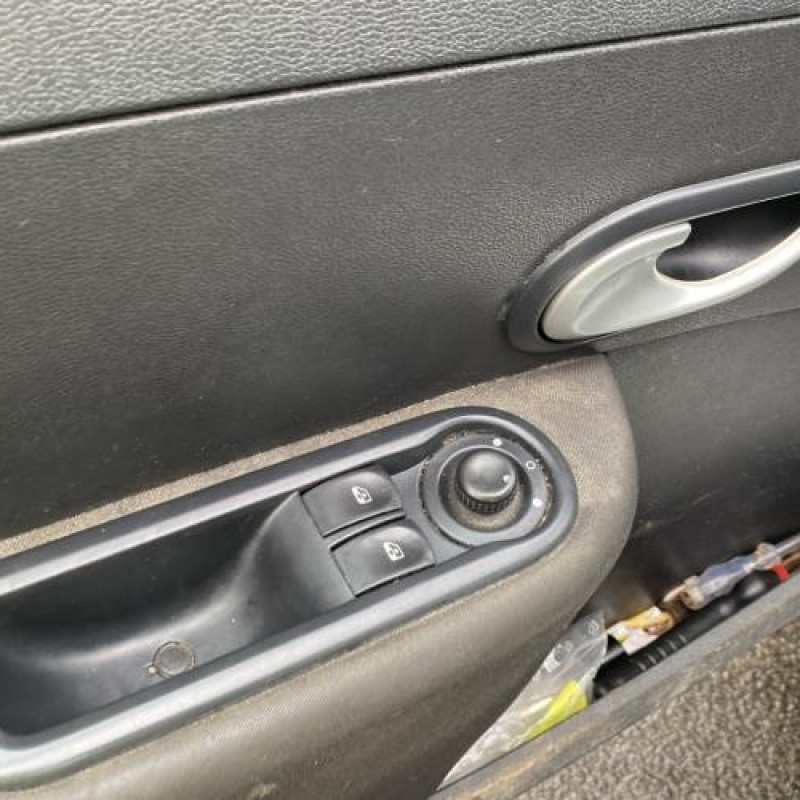 Porte arriere gauche RENAULT CLIO 3 Photo n°15