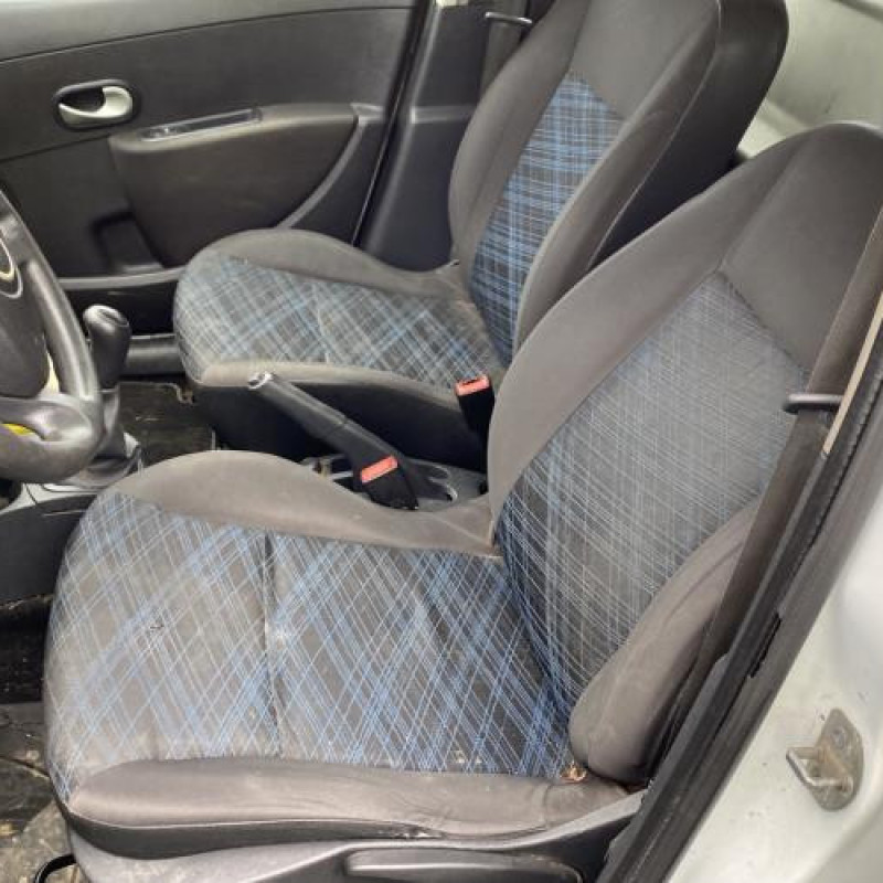 Porte arriere gauche RENAULT CLIO 3 Photo n°16