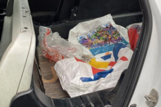 Porte arriere gauche RENAULT CLIO 3