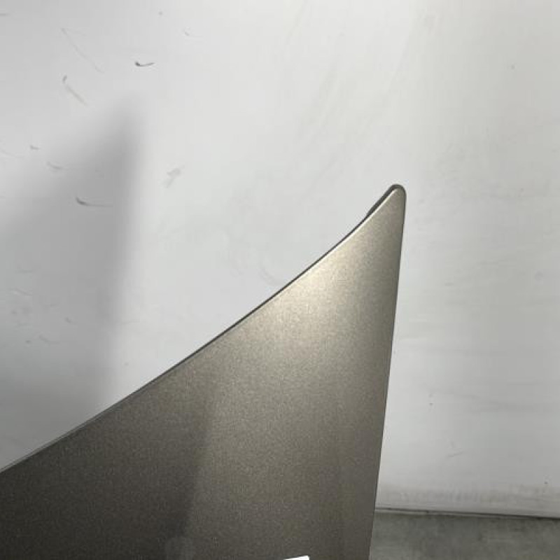 Capot RENAULT GRAND MODUS Photo n°4