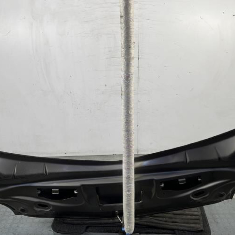 Capot RENAULT GRAND MODUS Photo n°9
