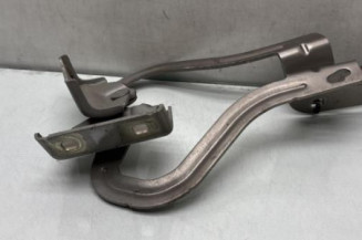 Charniere de capot RENAULT GRAND MODUS