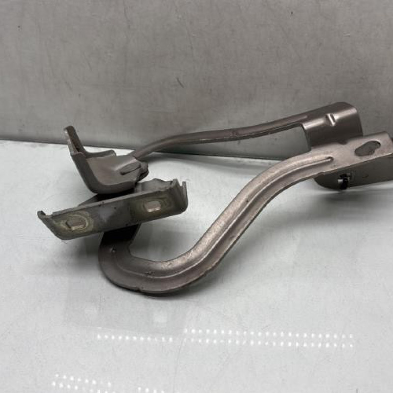 Charniere de capot RENAULT GRAND MODUS Photo n°3