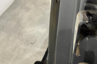Porte arriere gauche CITROEN C4 2