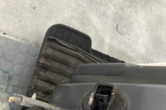 Porte arriere gauche CITROEN C4 2