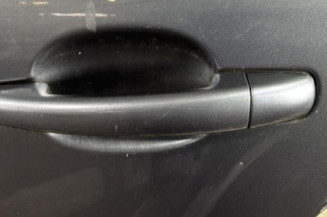 Porte arriere gauche CITROEN C4 PICASSO 1
