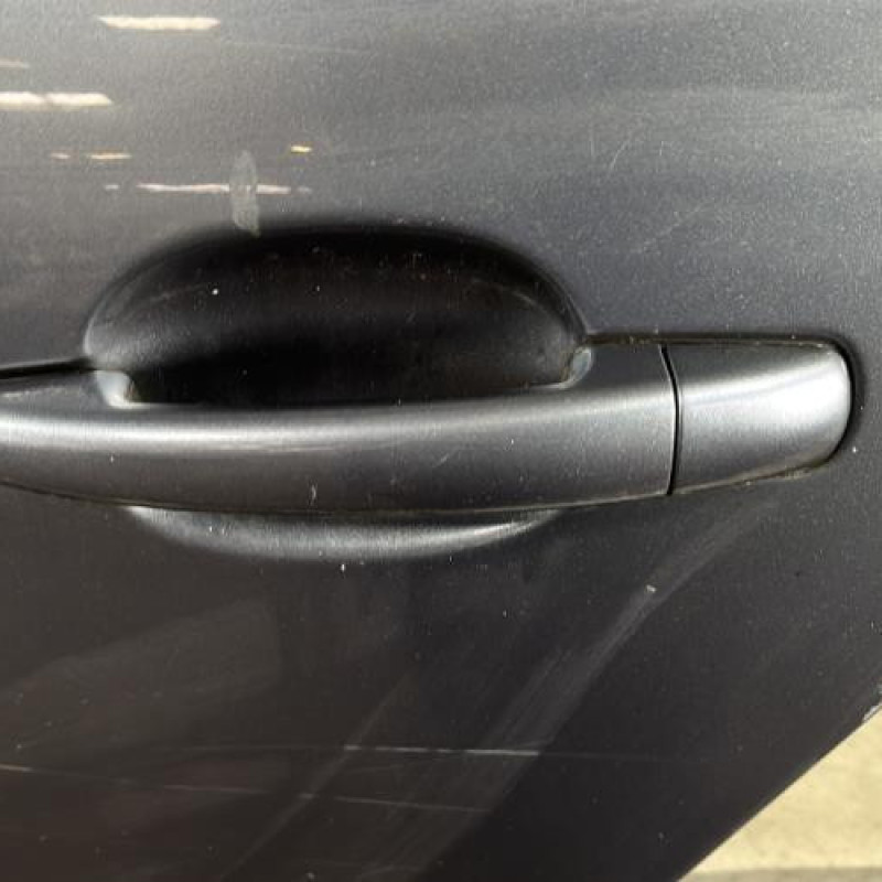 Porte arriere gauche CITROEN C4 PICASSO 1 Photo n°2