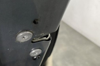 Porte arriere gauche CITROEN C4 PICASSO 1