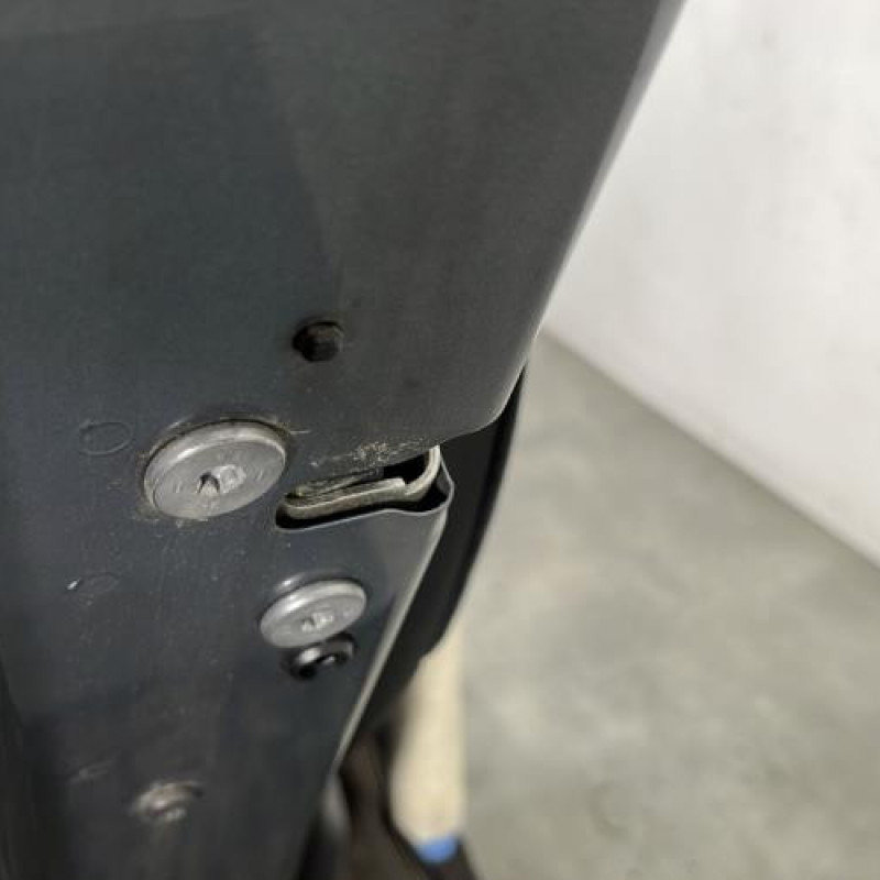Porte arriere gauche CITROEN C4 PICASSO 1 Photo n°3
