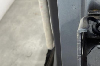 Porte arriere gauche CITROEN C4 PICASSO 1