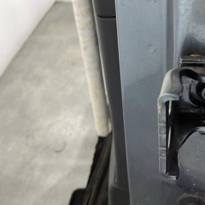 Porte arriere gauche CITROEN C4 PICASSO 1 Photo n°4
