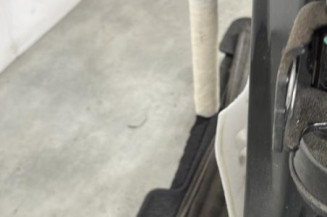 Porte arriere gauche PEUGEOT 207