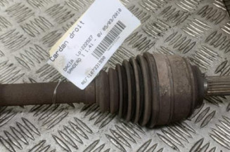 Cardan droit (transmission) DACIA SANDERO 1
