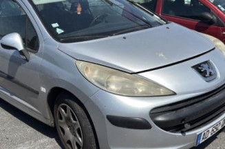 Neiman PEUGEOT 207