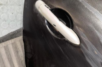 Porte arriere droit RENAULT CLIO 3