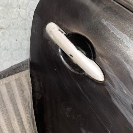 Porte arriere droit RENAULT CLIO 3