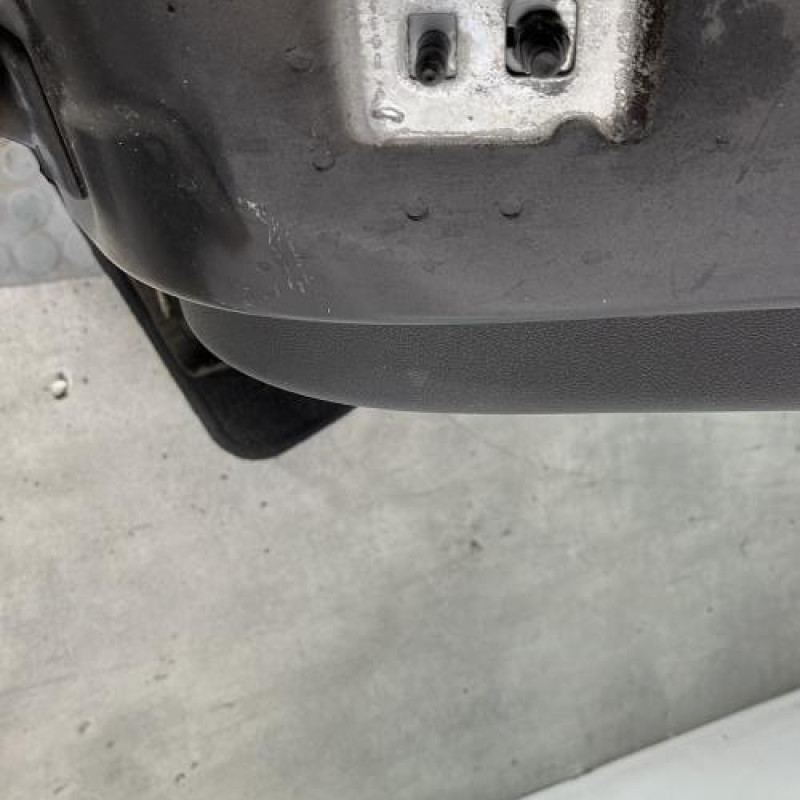 Porte arriere droit RENAULT CLIO 3 Photo n°4