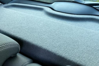 Porte arriere droit RENAULT CLIO 3