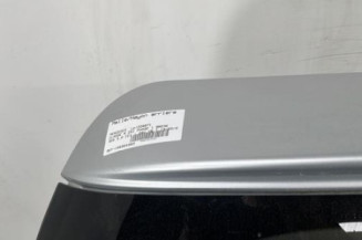 Malle/Hayon arriere MERCEDES CLASSE R 251