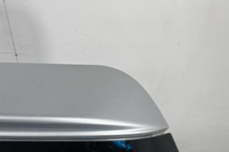 Malle/Hayon arriere MERCEDES CLASSE R 251