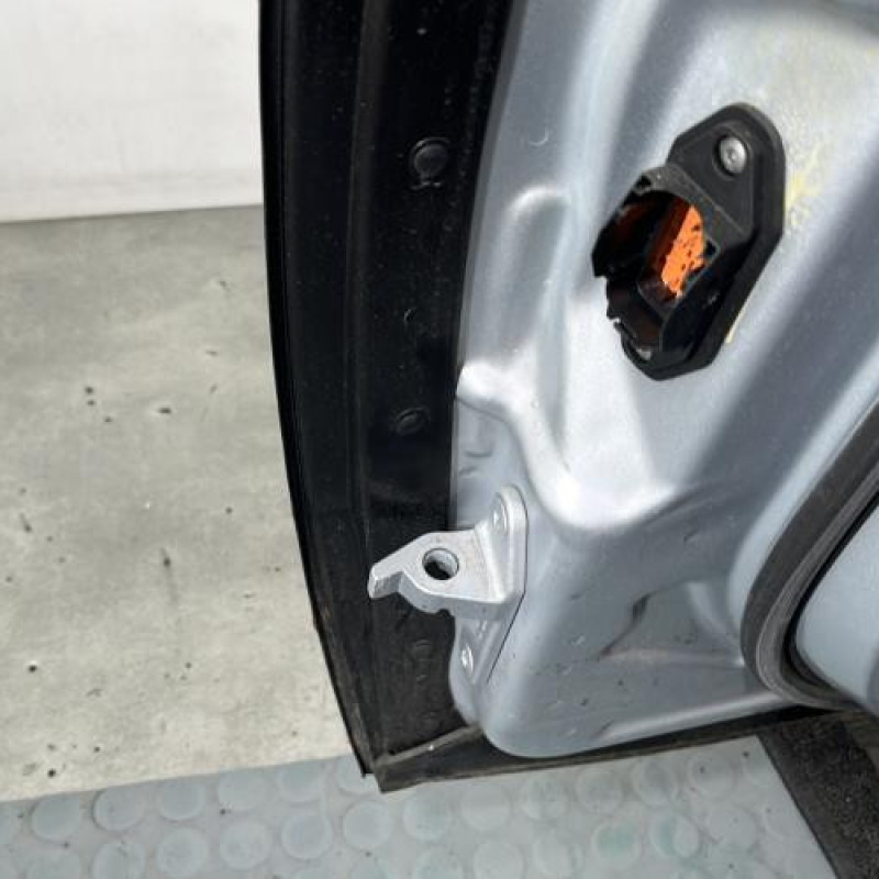 Porte avant droit MERCEDES CLASSE R 251 Photo n°3
