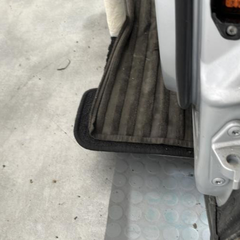 Porte avant gauche MERCEDES CLASSE R 251 Photo n°3