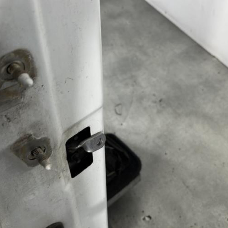 Porte avant droit DACIA LOGAN 1 Photo n°3