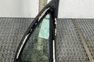 Custode arriere gauche CITROEN C3 1