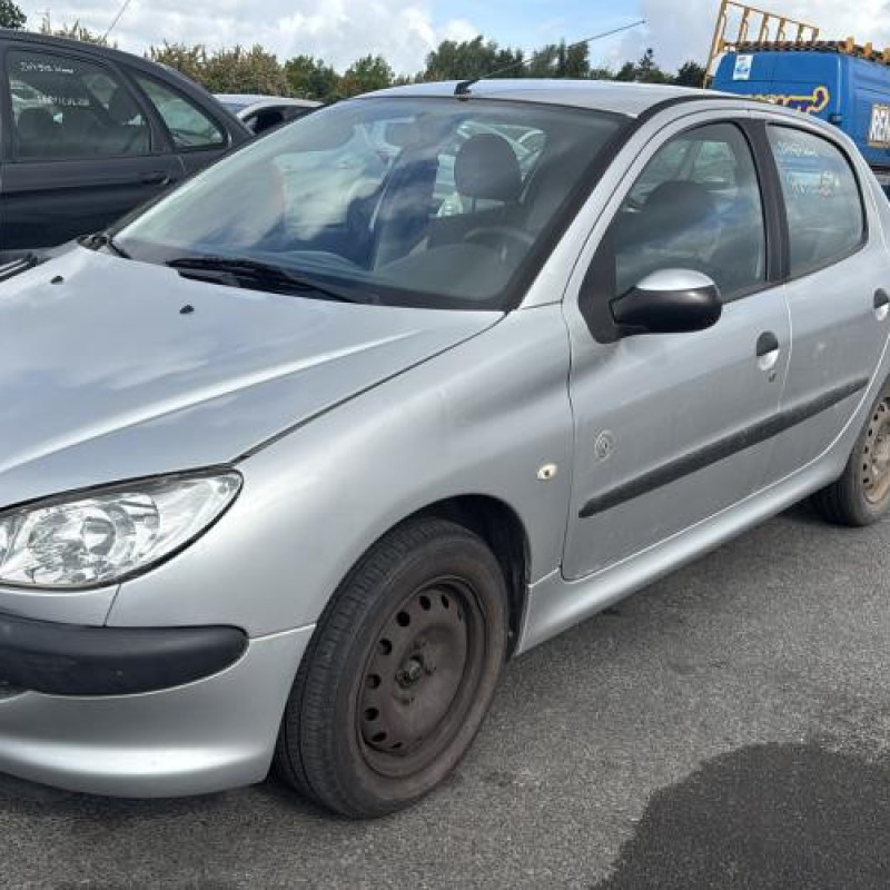 Porte avant droit PEUGEOT 206 Photo n°8
