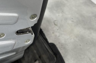 Porte avant gauche PEUGEOT 206