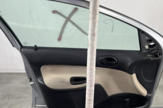Porte avant gauche PEUGEOT 206