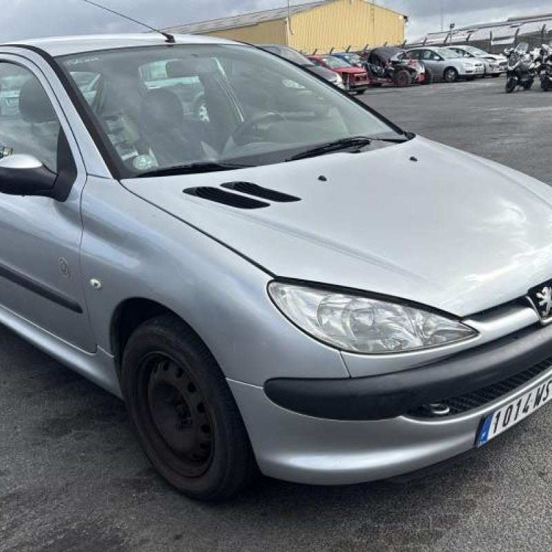 Porte avant gauche PEUGEOT 206 Photo n°9