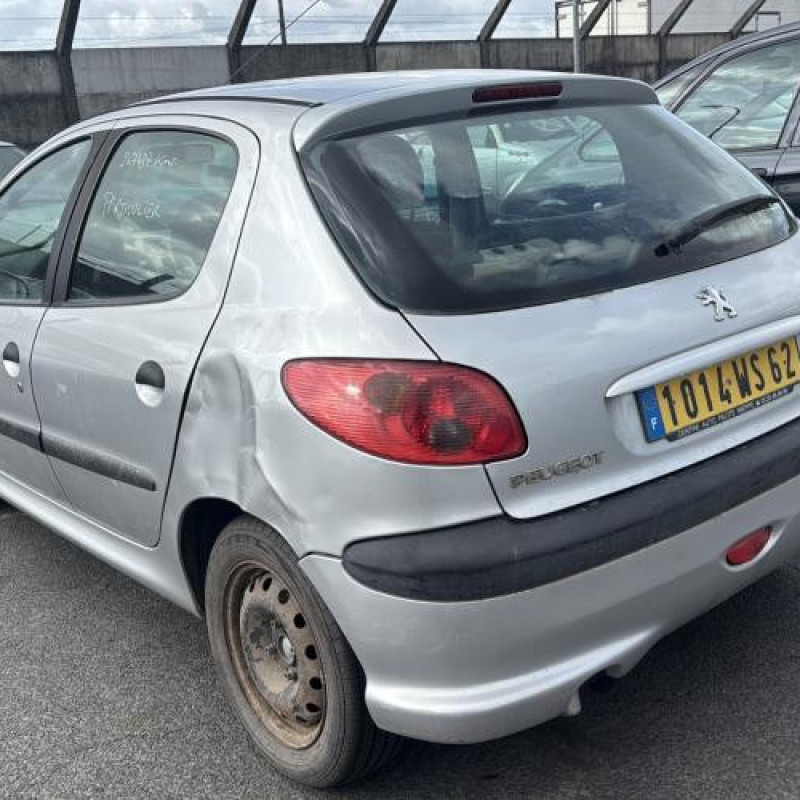 Porte avant gauche PEUGEOT 206 Photo n°11