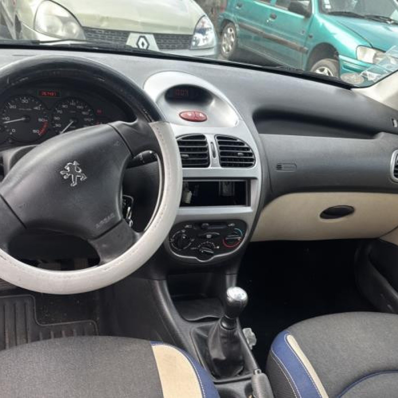 Porte avant droit PEUGEOT 206 Photo n°19