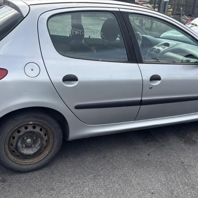Porte avant gauche PEUGEOT 206 Photo n°13