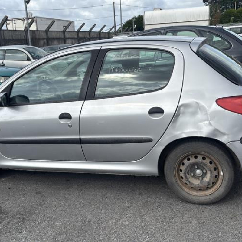 Porte avant gauche PEUGEOT 206 Photo n°14