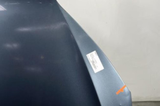 Capot PEUGEOT 407