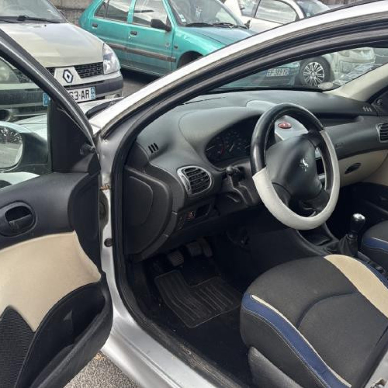 Porte avant gauche PEUGEOT 206 Photo n°16