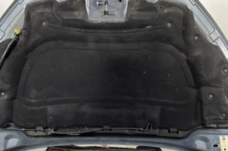Capot PEUGEOT 407
