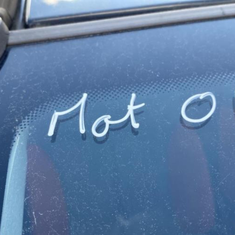 Poignee porte avant droit CITROEN C2 Photo n°7