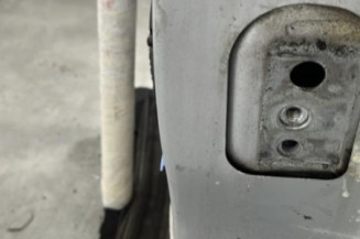 Porte avant gauche PEUGEOT 207