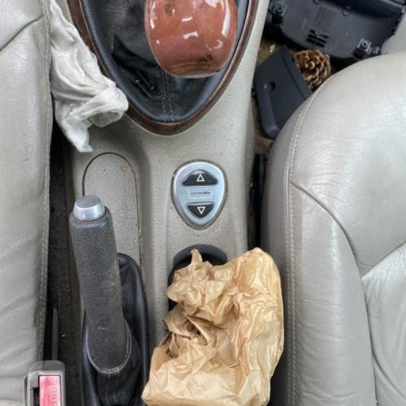 Serrure avant gauche CITROEN C5 1 Photo n°20