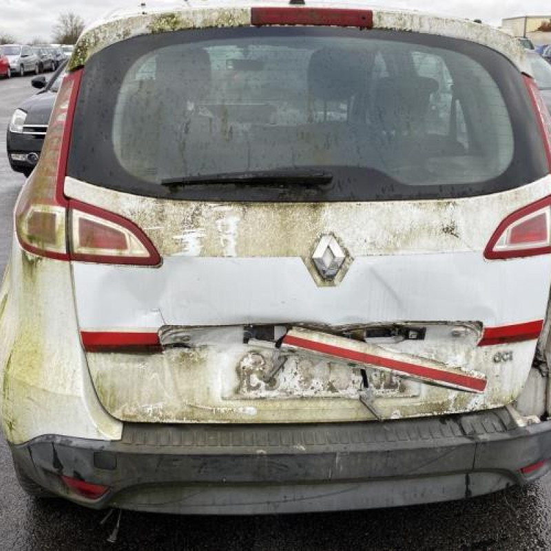 Commande regulateur vitesse RENAULT SCENIC 3 Photo n°8