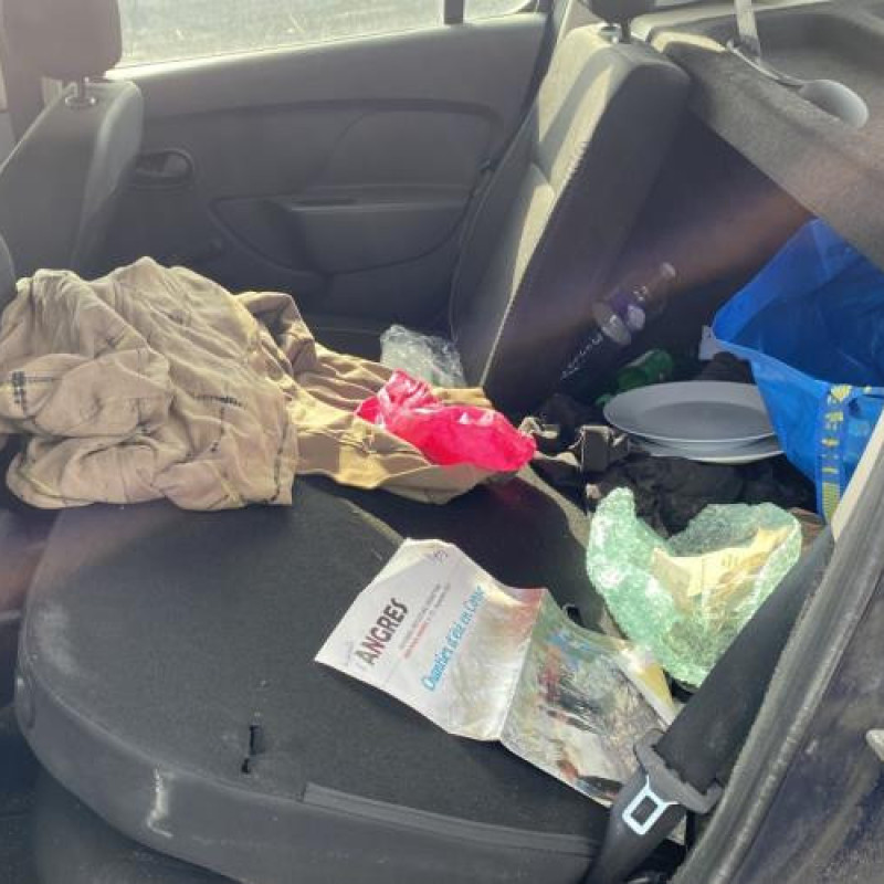 Poignee interieur arriere droit DACIA SANDERO 2 Photo n°16