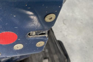 Porte avant gauche RENAULT CLIO 2