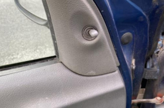 Bouton de warning RENAULT CLIO 2