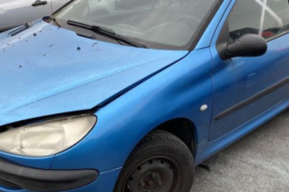 Malle/Hayon arriere PEUGEOT 206