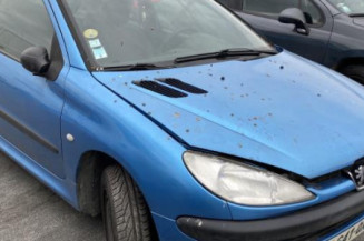 Malle/Hayon arriere PEUGEOT 206